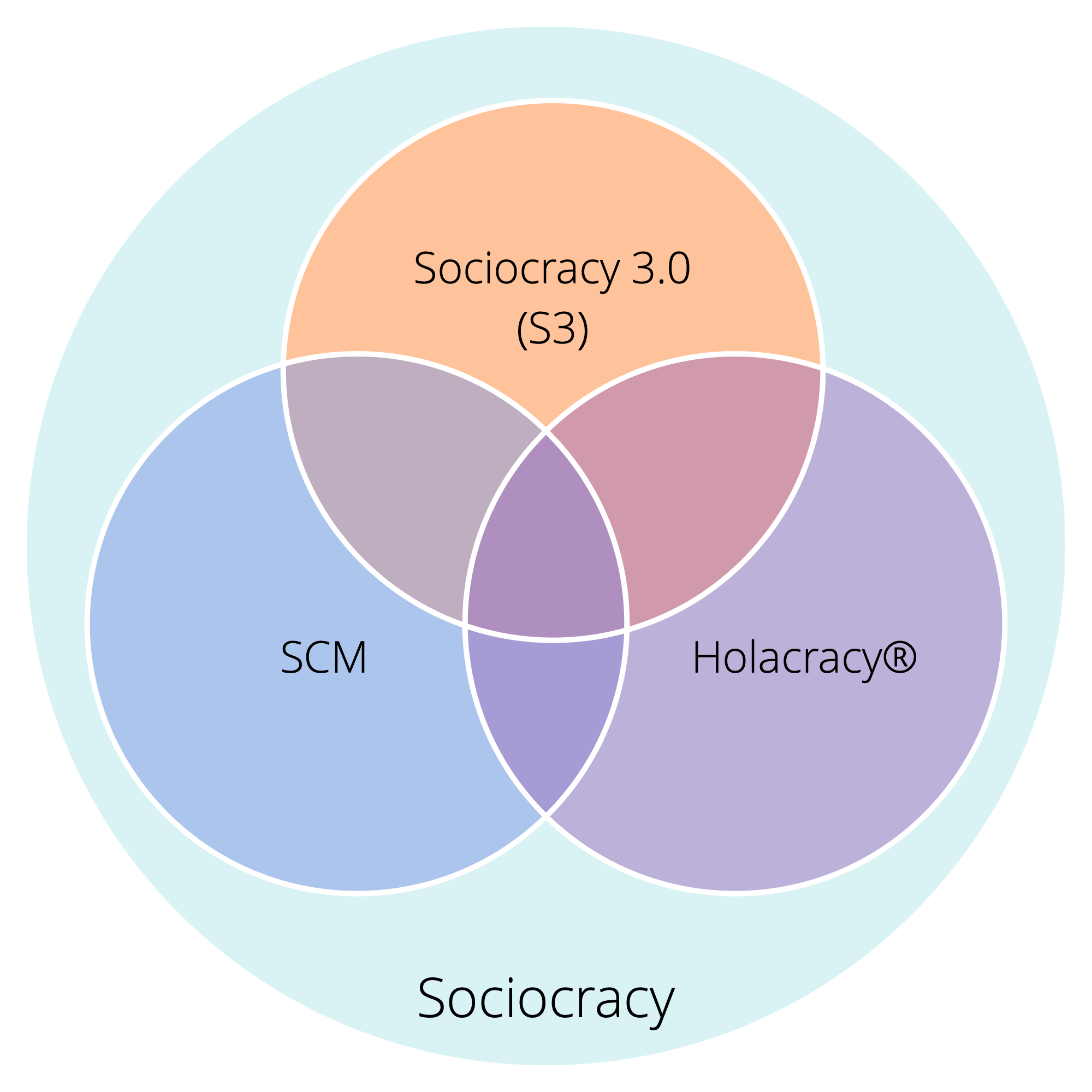 Three variants of sociocracy