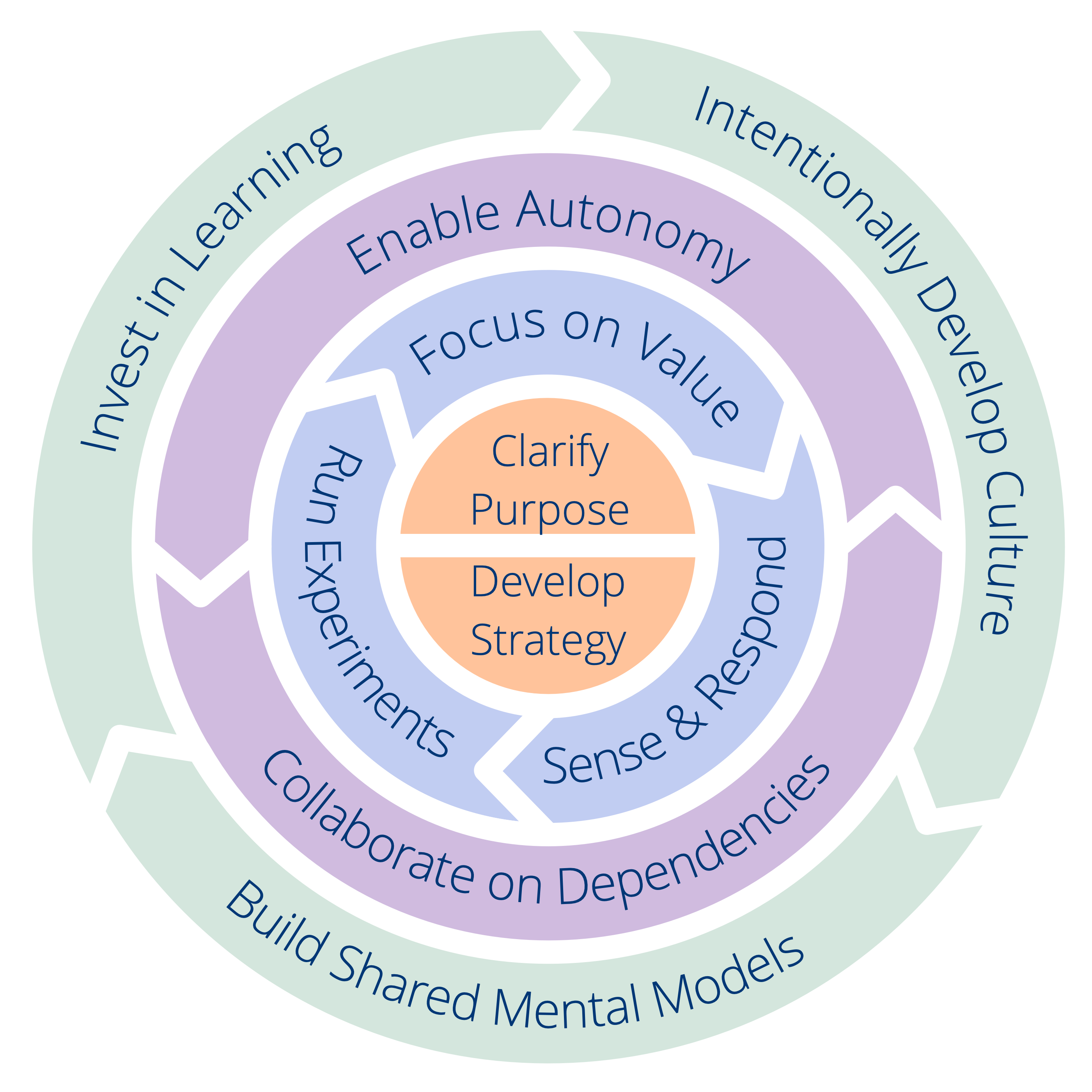 Ten Principles for Evolving Teams and Organizations